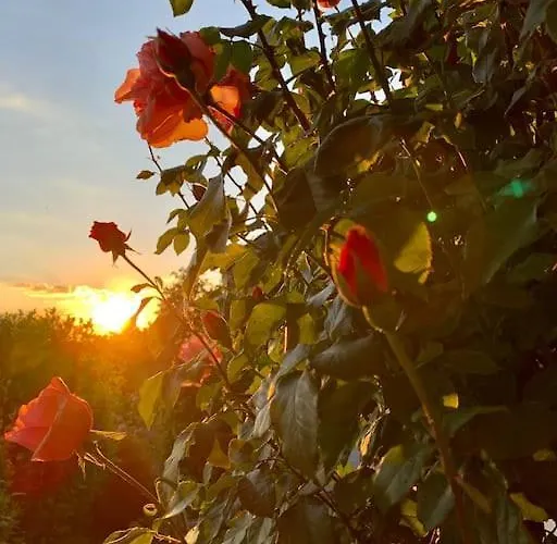 Lejlighed Freistehender In In Traumlage Mit Grossem Garten *